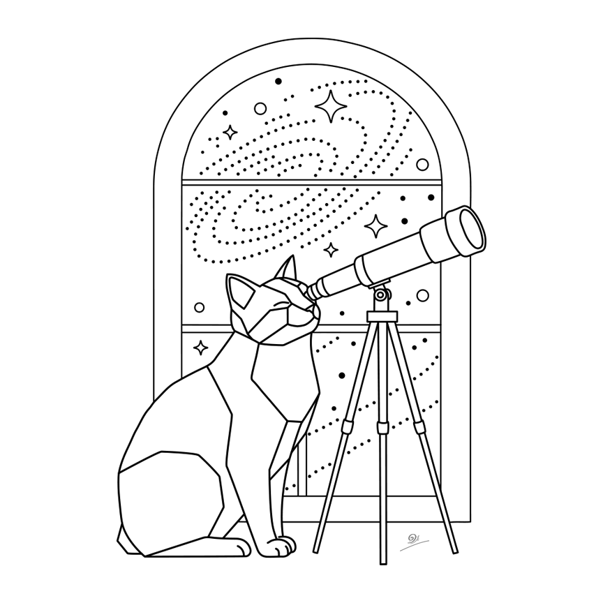 Cosmo Stargazer Cat